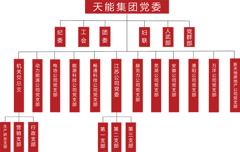 9999js金沙老品牌建团党委组织架构